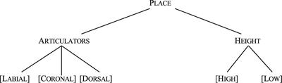 Asymmetric Influence of Vocalic Context on Mandarin Sibilants: Evidence From ERP Studies